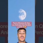 Descubre las 10 Palabras con GR que Debes Conocer en Español