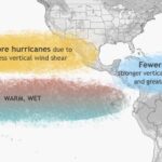 Descubre los objetos que empiezan con B: Una lista completa de cosas con la letra B